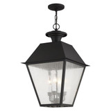 Lane Wood 4 Light Medium Outdoor Pendant by Bailey Street Home - 218-BEL-1029694