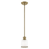 Davidson Row 1 Light Mini Pendant by Bailey Street Home - 218-BEL-522697