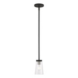 Larkspur Oak 1 Light Mini Pendant by Bailey Street Home - 218-BEL-1220273