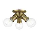 Caernarvon Woods 3 Light 7 Inch Wide Flush Mount by Bailey Street Home - 218-BEL-1219924