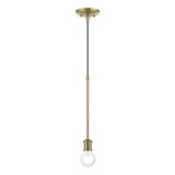 Caernarvon Woods 1 Light Mini Pendant by Bailey Street Home - 218-BEL-1219993