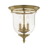 Ellison Coppice 3 Light 11.5 Inch Wide Flush Mount by Bailey Street Home - 218-BEL-1029756