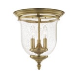 Ellison Coppice 3 Light 11.5 Inch Wide Flush Mount by Bailey Street Home - 218-BEL-1029756