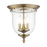 Ellison Coppice 3 Light Steel Flush Mount by Bailey Street Home - 218-BEL-189968