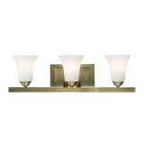 Brindley Birches 3 Light Vanity Light by Bailey Street Home - 218-BEL-540078