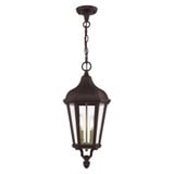Hadrian Lane 2 Light Small Outdoor Pendant by Bailey Street Home - 218-BEL-614642
