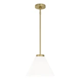 Wynridge Light Medium Pendant by Bailey Street Home - 2605-BEL-1327666