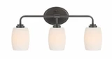 Hollin East 3 Light Vanity Light by Bailey Street Home - 2595-BEL-1292689
