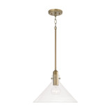Wyvern Grange 1 Light Medium Pendant by Bailey Street Home - 309-BEL-1117066