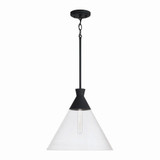 Greystone Orchards 1 Light Medium Pendant by Bailey Street Home - 309-BEL-1287557