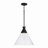 Greystone Orchards 1 Light Medium Pendant by Bailey Street Home - 309-BEL-1287557