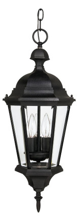Firth Hollies 3 Light Outdoor Pendant by BSH - 309-BEL-522379