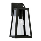 Strawberry Brambles 1 Light Outdoor Wall Lantern by BSH - 309-BEL-1070393