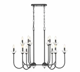 Thorn Barton 12 Light Linear Chandelier 30.5 Inch and 24.5 Inch Wide by BSH - 372-BEL-1374839