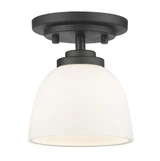 Hall Cliffe Rise 1 Light Steel Flush Mount by Bailey Street Home - 372-BEL-495537