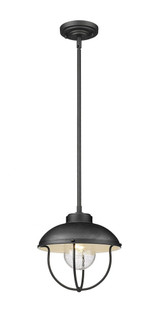 Rosehill Strand 1 Light Outdoor Pendant 10.5 x 11 In by BSH - 372-BEL-1093757