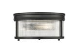 Thistle Approach 2 Light 13 Inch Wide Flush Mount by Bailey Street Home - 159-BEL-1325481