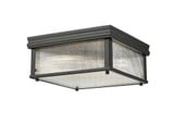Thistle Approach 4 Light 13 Inch Wide Flush Mount by Bailey Street Home - 159-BEL-1325483
