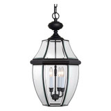 Duchess Brambles 3 Light Medium Outdoor Pendant by Bailey Street Home - 71-BEL-619379