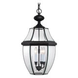 Duchess Brambles 3 Light Medium Outdoor Pendant by Bailey Street Home - 71-BEL-619379