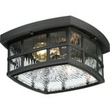 Lilac Heath 2 Light 12 Inch Wide Flush Mount by Bailey Street Home - 71-BEL-1904578