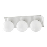 Trevor Paddock 12W 3 LED Vanity Light by Bailey Street Home - 735-BEL-4170171
