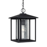 Myrtle Park - One Light Outdoor Pendant - 73-BEL-1001811