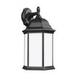 Rachel Drive - 18.75 Inch 9.3W 1 LED Large Outdoor Wall Lantern - 73-BEL-4315053