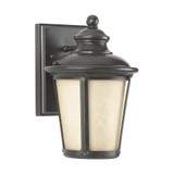 Green Croft - One Light Outdoor Dark Sky Wall Lantern - 73-BEL-1001975