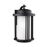 Grasville Road - One Light Outdoor Dark Sky Large Wall Lantern - 73-BEL-1001977