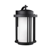 Grasville Road - One Light Outdoor Dark Sky Large Wall Lantern - 73-BEL-1001977