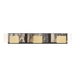 Fieldings Drive 37.8W 3 LED Light Vanity Light by Bailey Street Home - 79-BEL-1269677