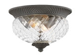 Meadows Garth 2 Light Outdoor Flush Mount by Bailey Street Home - 81-BEL-2999309