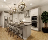 Elder Green 6 Light Large Pendant by Bailey Street Home - 93-BEL-1024552