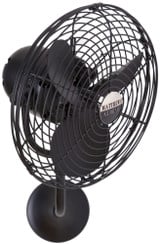 Taylor Grange Ceiling Fan 13 Inch Wide by BSH - 176-BEL-1218161