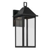 Crane Poplars 1 Light Medium Outdoor DarkSky Wall Mount 16.75 Inch Tall by BSH - 147-BEL-1374804