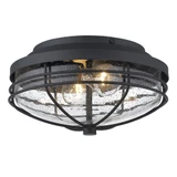 Seaport 2 Light 12 Inch Wide Outdoor Flush Mount by Golden - 9808-OFM