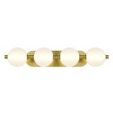 Ashburnham Parkway 36W 4 LED Light Vanity Light by BSH - 79-BEL-1334825