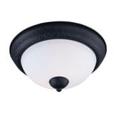 Gordon Brambles 2 Light 11.25 Inch Wide Flush Mount by BSH - 93-BEL-605071