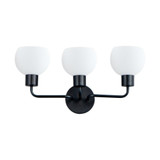 Blackthorn Down 3 Light Vanity Light by BSH - 93-BEL-1025089