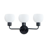 Blackthorn Down 3 Light Vanity Light by BSH - 93-BEL-1025089
