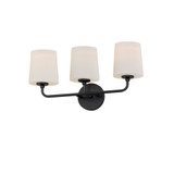 Roscoe Crescent 3 Light Vanity Light by BSH - 93-BEL-1265828