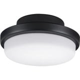 TriAire Custom 18W LED Custom Light Kit 3.48 Inch Tall by Fanimation - LK8514
