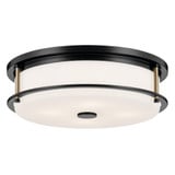 Parrock Avenue 4 Light 18 Inch Wide Flush Mount by Bailey Street Home - 1292582