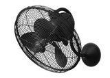 Laura 3 Blade Oscillating Wall Fan 14.5 X 16 Inch Wide by Matthews Fans - LL