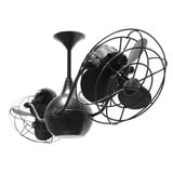 Hill View Beeches 6 Blade Ceiling Fan 42 Inch Wide by BSH - 176-BEL-1146609