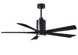 Eliot Parc 5 Five Blade Ceiling Fan with LED Light 60 Inch by BSH - 176-BEL-543257