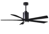 Eliot Parc 5 Five Blade Ceiling Fan with LED Light 60 Inch by BSH - 176-BEL-543257
