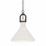 Lumi 1 Light Medium Pendant by Maxim - 12383