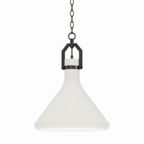 Lumi 1 Light Medium Pendant by Maxim - 12383